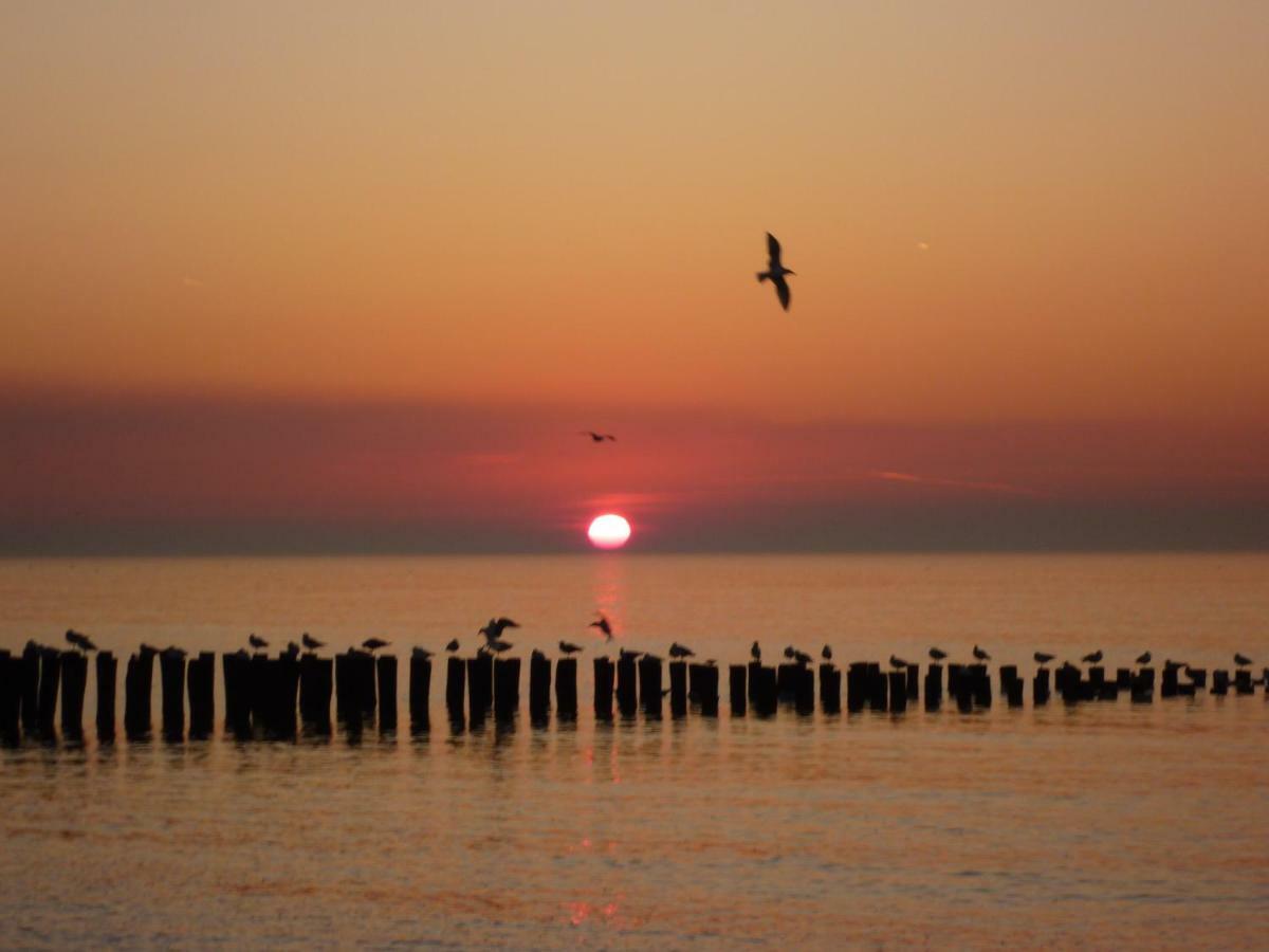 Knusse Vakantiewoning Domburg Do04 المظهر الخارجي الصورة